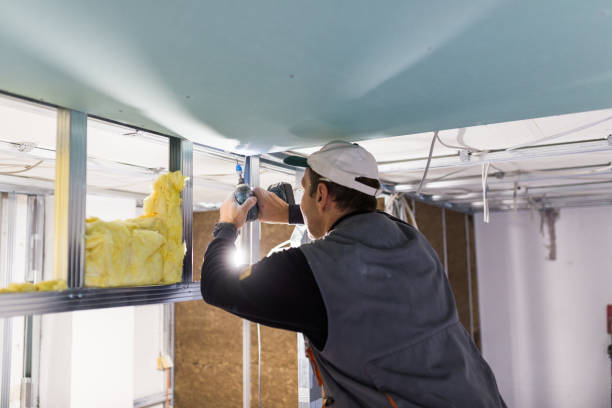 Best Residential Insulation in Mathis, TX