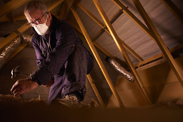 Best Specialty Insulation in Mathis, TX